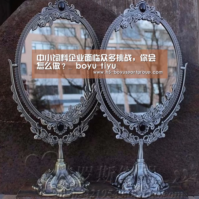 boyu tiyu